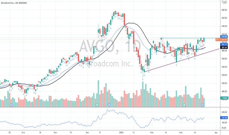 AVGO Stock Price Today: NVDA vs. AMD and What We Know