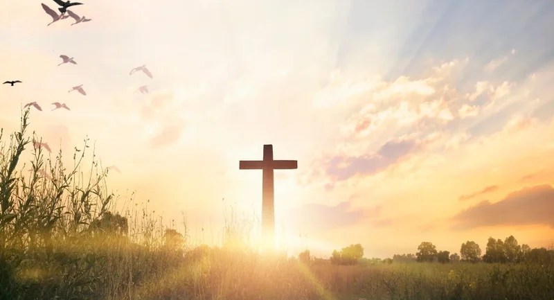 Cross-Border Shenanigans: What's the Impact and Who Benefits?